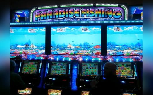 685% Partido en un casino en Guts Casino